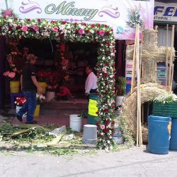 Floreria Mirary