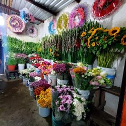 Floreria Miriam