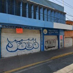Floreria Mis 8 Hijos