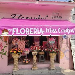 Florería Miss Cositas