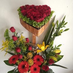 Floreria Moni-k