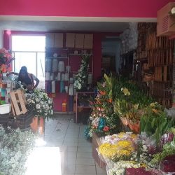 Floreria Monse