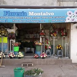 Floreria Montalvo