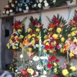 Floreria Montserrat