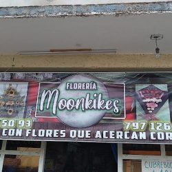Florería Moonkikes