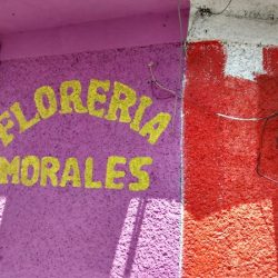 Floreria Morales