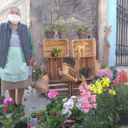 Florería Moran