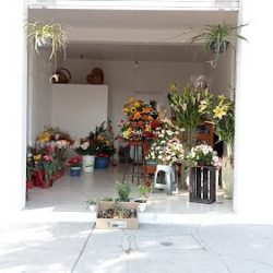 Florería My Payna