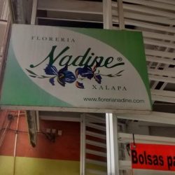 Florería Nadine