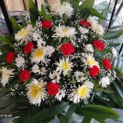 Floreria Nancy