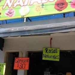Florería Natalia