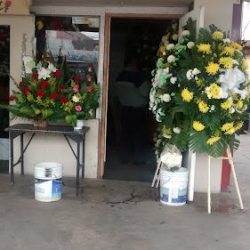 Floreria Nathalia
