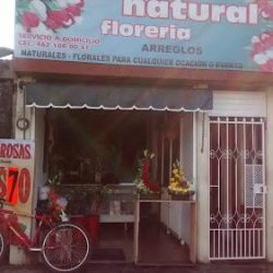 Floreria Natural