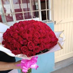 FlorerÍa Nava