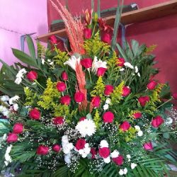 Floreria Nava