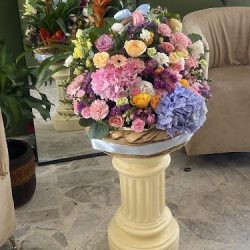 FlorerÍa Nava Morelia
