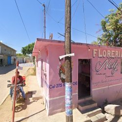 Floreria Nely