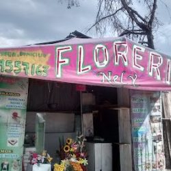 FlorerÍa Nely Texcoco