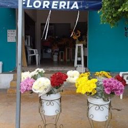 Floreria Nicholle Aticama