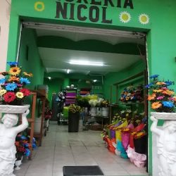 Florería Nicol