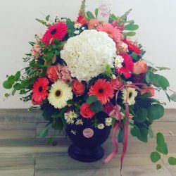 Floreria Nicte León