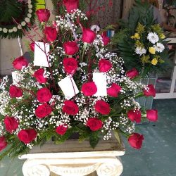 Florería Ninfa María
