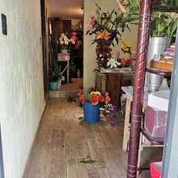 Florería Niza
