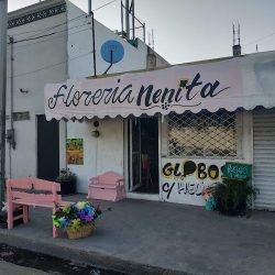 Florería Noelia
