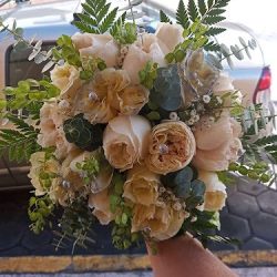 Floreria Norma