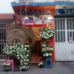 Floreria Nubes