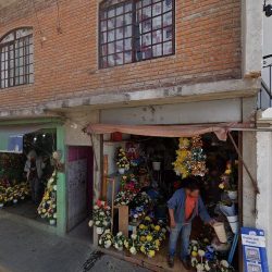 Floreria Nueva