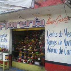 Florería Nueva Creación