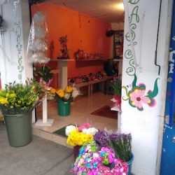 Florería O@sis