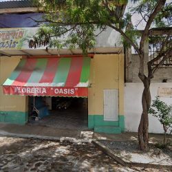Floreria Oasis