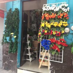 Florería Oásis