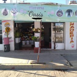 Floreria Oasis