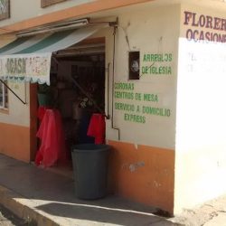 Florería Ocasiones