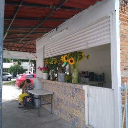 FlorerÍa Ofelia