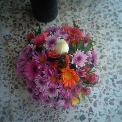 Floreria Oficial Casa Magnolia