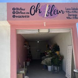 Floreria Oh Fleur