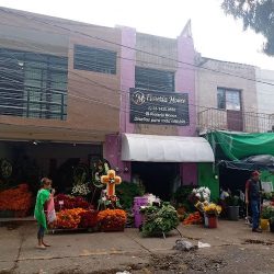 Florería Olga