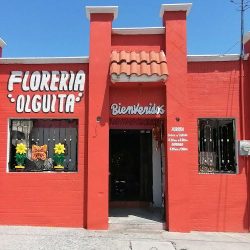 Florería Olguita