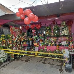 Florería Oli