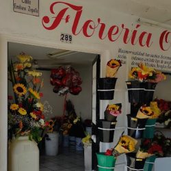 Florería Oli