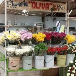 Floreria Oliva