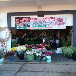 Florería Olvera