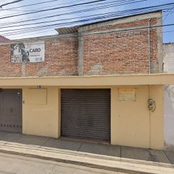 Floreria Orguidea