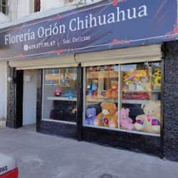 Florería Orion Suc Delicias