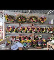 Floreria Orlandito