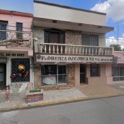 Florería Orquidea 1